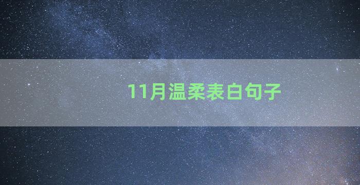 11月温柔表白句子