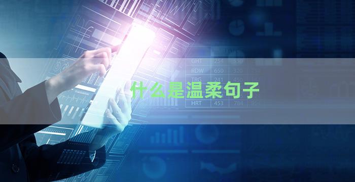 什么是温柔句子