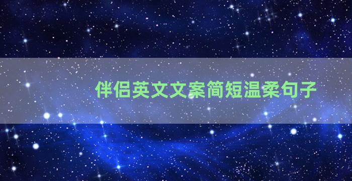 伴侣英文文案简短温柔句子