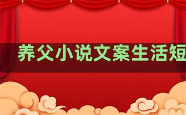 养父小说文案生活短句子