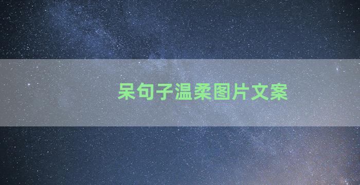 呆句子温柔图片文案