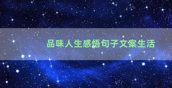 品味人生感悟句子文案生活