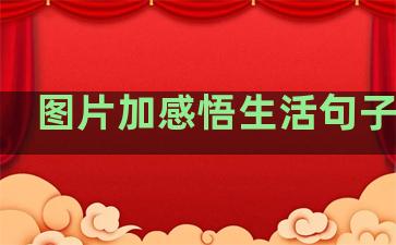 图片加感悟生活句子短句