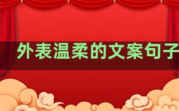 外表温柔的文案句子简短