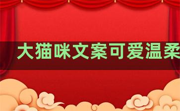 大猫咪文案可爱温柔句子