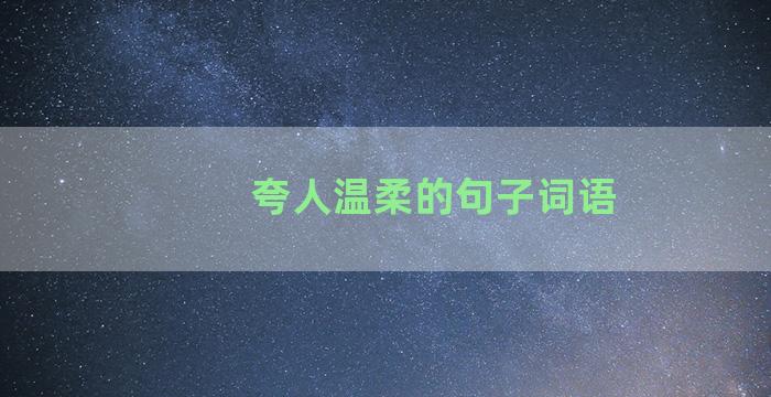 夸人温柔的句子词语
