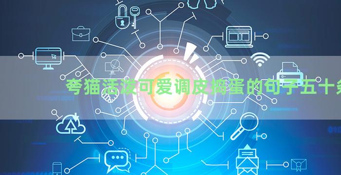 夸猫活泼可爱调皮捣蛋的句子五十条