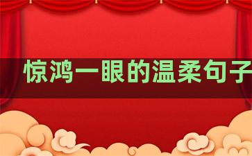 惊鸿一眼的温柔句子摘抄