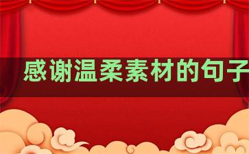 感谢温柔素材的句子简短