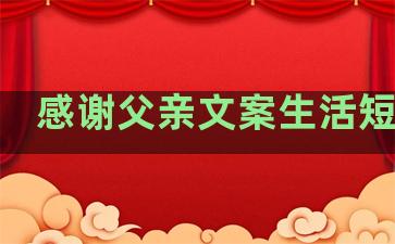 感谢父亲文案生活短句子