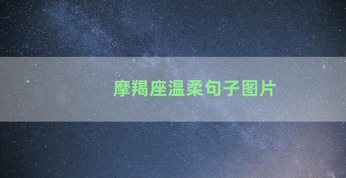摩羯座温柔句子图片