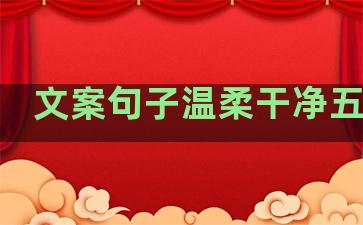 文案句子温柔干净五个字