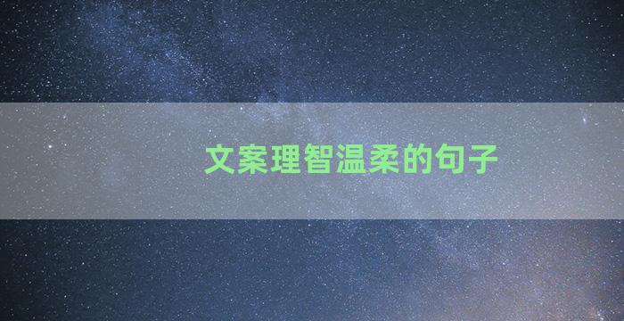 文案理智温柔的句子