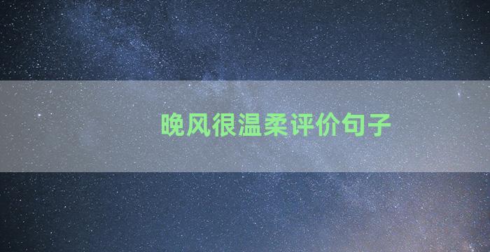 晚风很温柔评价句子