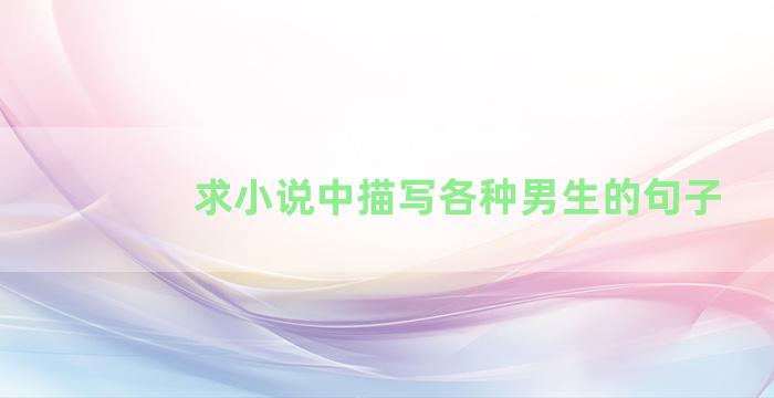 求小说中描写各种男生的句子