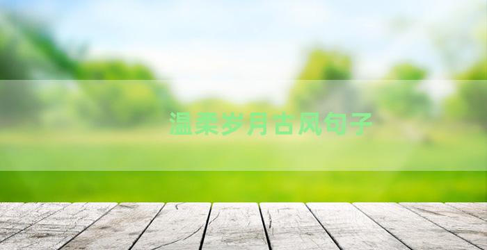 温柔岁月古风句子