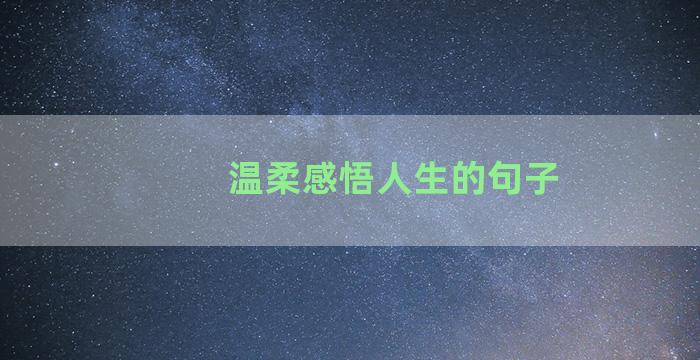 温柔感悟人生的句子
