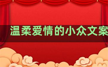 温柔爱情的小众文案句子