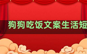 狗狗吃饭文案生活短句子