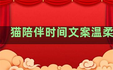 猫陪伴时间文案温柔句子