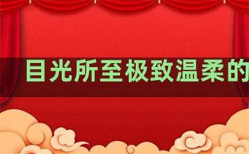 目光所至极致温柔的句子