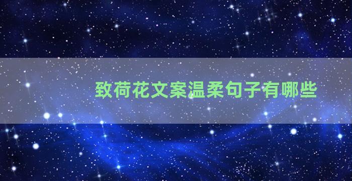 致荷花文案温柔句子有哪些