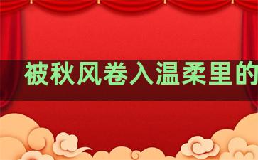 被秋风卷入温柔里的句子