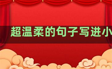 超温柔的句子写进小说里